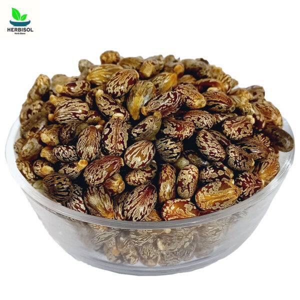 Arind ارنڈ - Castor - Arandi Ke Bheej / Castor Beans by Herbisol - Image 2
