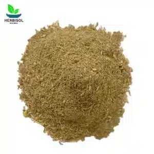 Asgar Mukki Buti Powder ازخرمکی بوٹی پسی – Premium Quality Pure – Azkhar Mukhi Booti Pissi – Khawi Asghar Makki Pissa by Herbisol