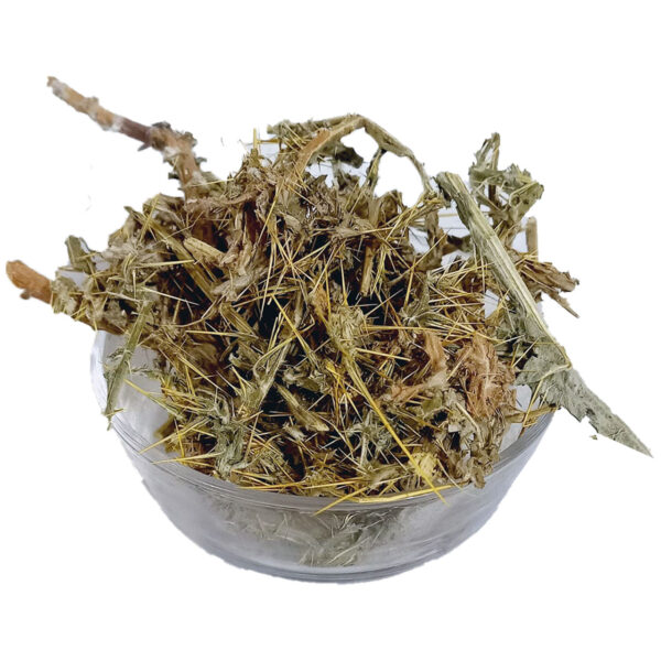 Oont Katara - Milk Thistle - 100% Original - Ont Ktara / Ount Kutara by Herbisol
