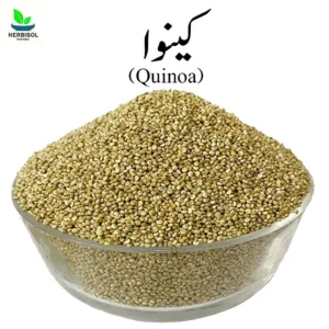 Quinoa کینوا – Kinnow Seed – 100% Original, Fresh and Pure Kinwa / Quonia / Qunoa / Qunioa Seeds by Herbisol