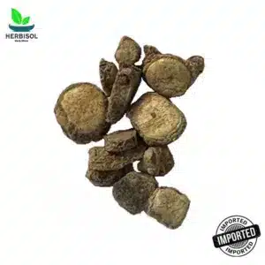 Kapoor Kachri کپورکچری – Imported From India – 100% Original, Fresh And Pure – Kapur / Sabut / Sabit Kapor Kuchri by Herbisol