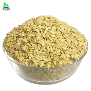 Maghaz Kheera – Cucumber Seeds – 100% Original, Fresh Kheeray Ke Bheej / Magaz Khira Beej / Maghaz Khiray / Without Shell Seed by Herbisol