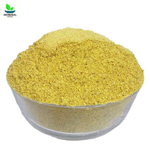 Methay Powder – Fenugreek Seeds Powder – 100% Original – Methi Dana Mota Pissa / Methray Motay Pisse / Maithey Pisa / Maithay Pissi / Maithray by Herbisol