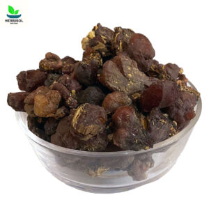Goond Sumbhul – Silk Cotton Tree Gum – Gond Sumbul / Sumbal / Sumbhal by Herbisol