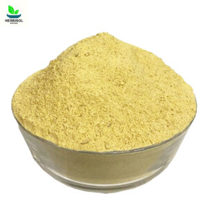 Moosli Safaid Powder – Safed Musli Pissi – White Mosli Pakistani Pisi by Herbisol