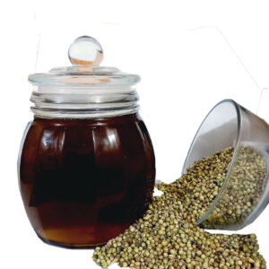 Dhania Oil – Roghan Dhaniya – 100% Original, Fresh and Pure Coriander Ka Tail by Herbisol
