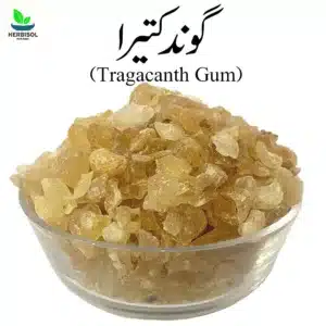 Goond Katira گوند کتیرا – Tragacanth Gum Imported – Gond Kateera / Gund Katera by Herbisol