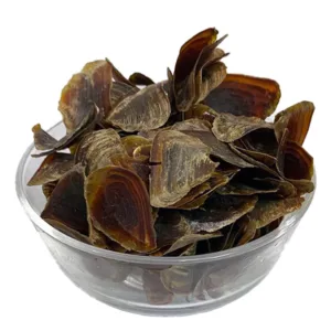 Nakha – Onycha Shell – Nikha / Nekha / Nakhaa / Nekhaa / Nikhaa / Nakhan – 100% Original, Fresh and Pure by Herbisol