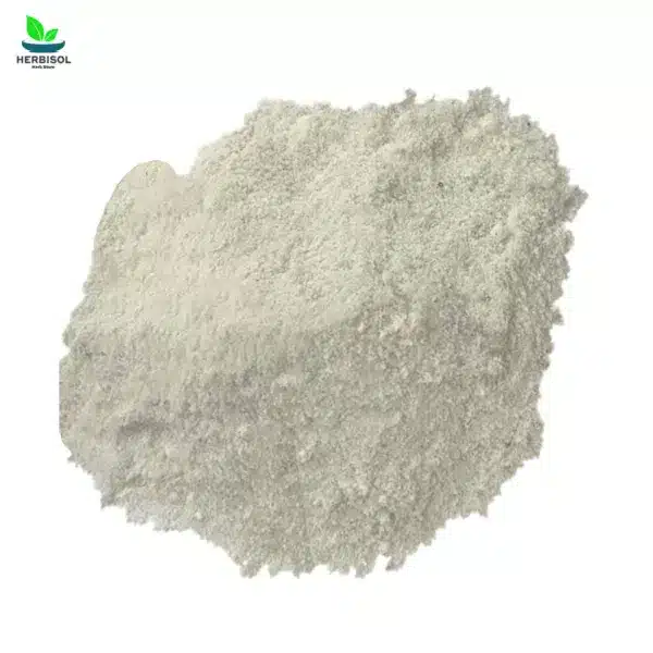 Namak Sambhar Powder 1