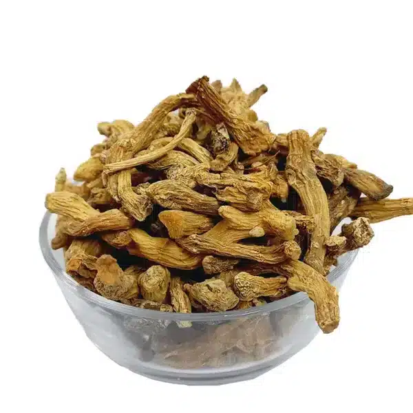 Shakakal