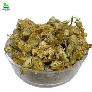 Gul Khaira – Dried Hollyhock Flower – 100% Original, Fresh and Pure Gule Khera / Phool by Herbisol