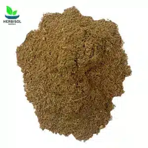 Barge Sanober Powder برگ صنوبر پسا – Pine Nut Leaves Dry Powder – Chilgozay Ke Patty Pissay – 100% Original, Pure – Barg e Snober Pissa by Herbisol