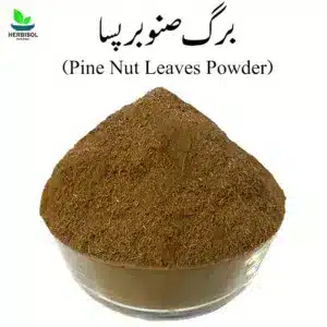 Barge Sanober Powder برگ صنوبر پسا – Pine Nut Leaves Dry Powder – Chilgozay Ke Patty Pissay – 100% Original, Pure – Barg e Snober Pissa by Herbisol
