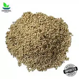Khashkhash خشخاش – Poppy Seeds – Imported – 100% Original، Fresh and Pure – Kushkaas / Khashkhaash / Khashkhaas by Herbisol