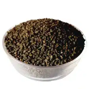 Babchi – 100% Original, Fresh Bakuchi Seeds Corylifolia by Herbisol