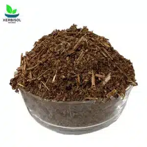 Badranjboya برگ بادرنجبویہ – Catnip Nepeta بلی لوٹن – Dry Bad Ranjboya Leaves – 100% Original and Pure – Barg Baadranjboya / Barge Badarnajboya Leaf / Barg E Badar Najboya Leafs by Herbisol