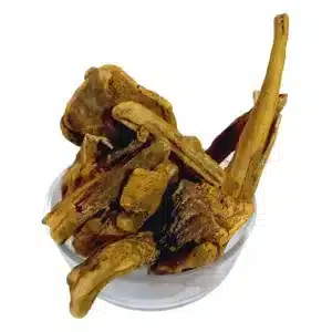 Revand Khatai – Rhubarb – 100% Original, Fresh and Pure Rewand / Reyond Khatayi / Khtai by Herbisol